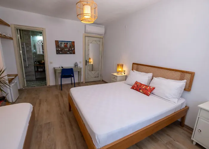 酒店 Posthane 博兹贾阿达岛